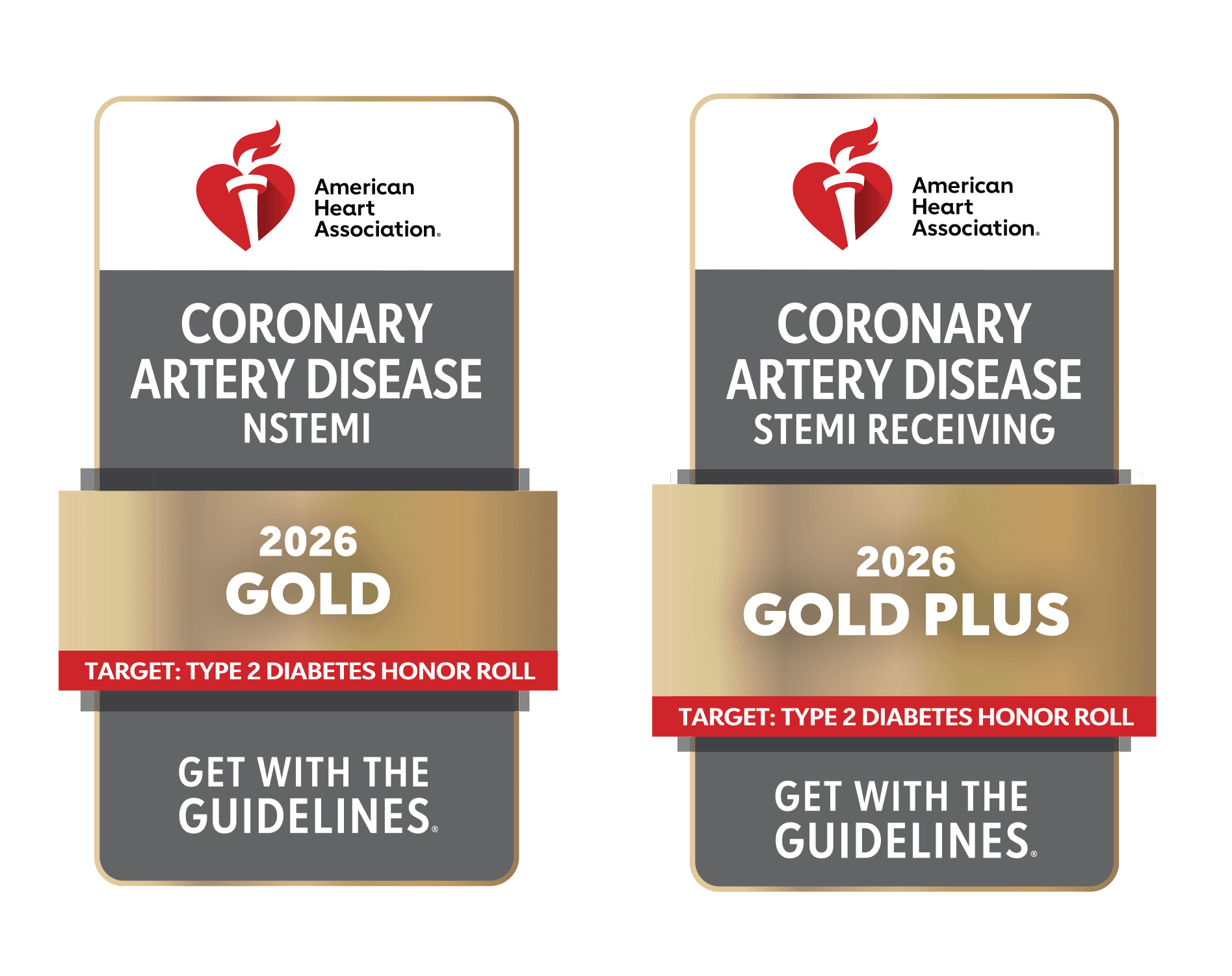GWTG_CAD-NSTEMI_TT2D_2026_Combined