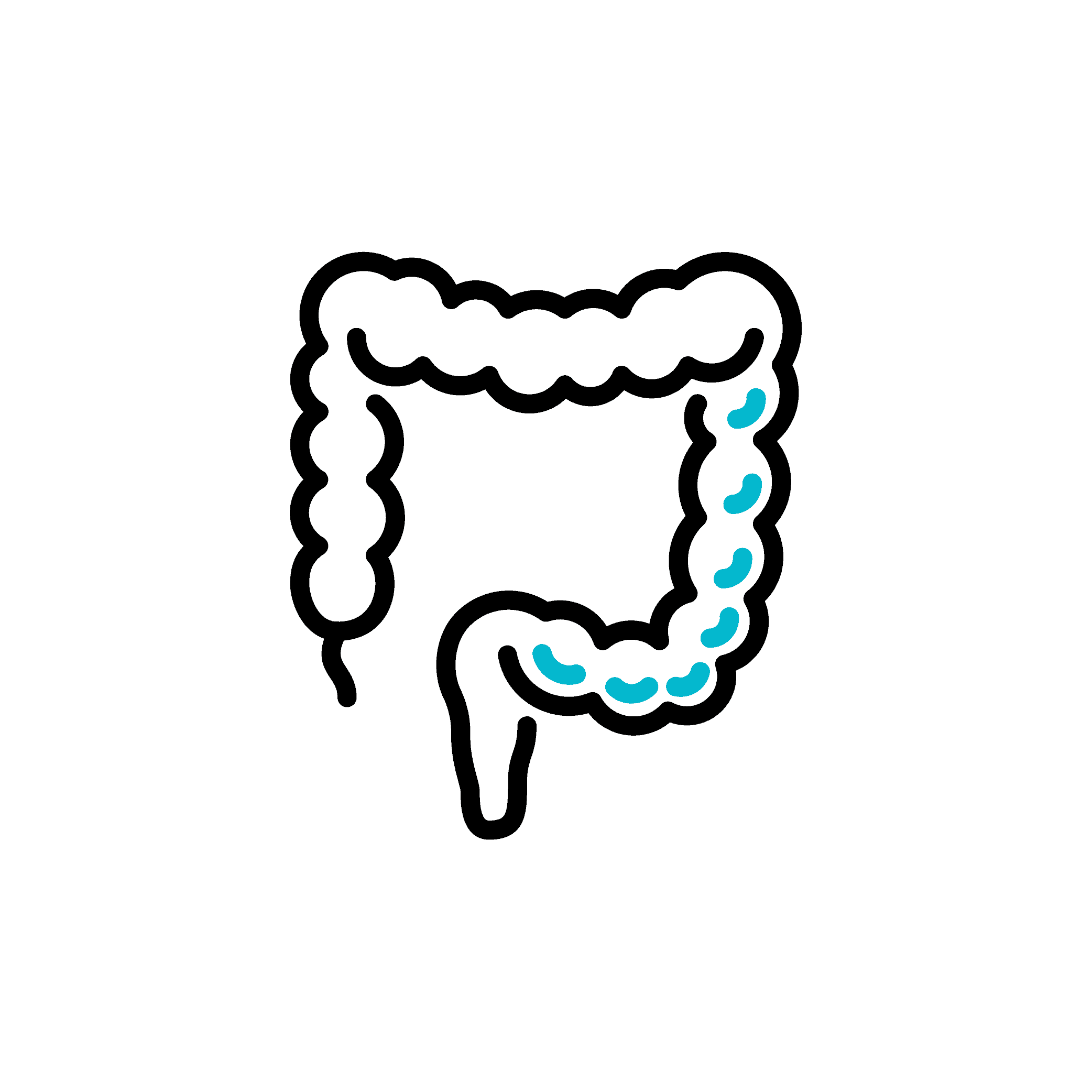 WH_icons_gastroenterology