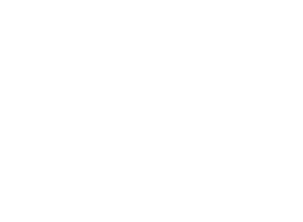 Williamson Health Honors logo
